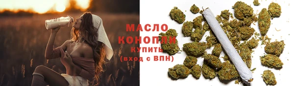 дмт Алексин