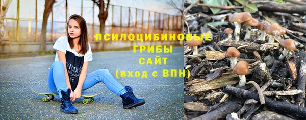 дмт Алексин