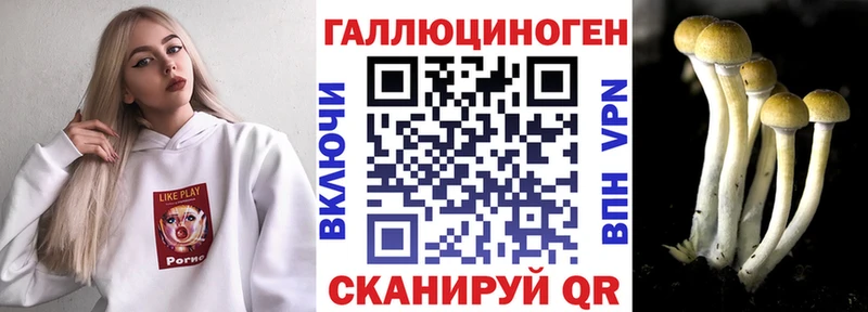 ссылка на мегу зеркало  Людиново  Галлюциногенные грибы Psilocybe 